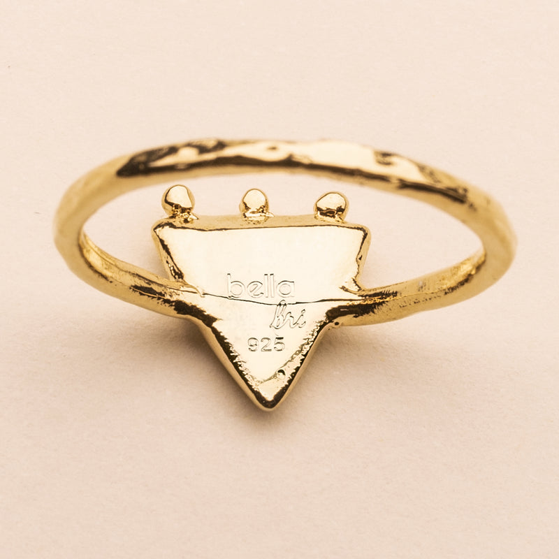 an triangolo retro